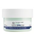 The Body Shop Aloe Soothing Night Cream