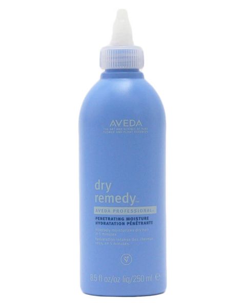 AVEDA Dry Remedy Penetrating Moisture