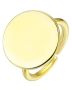 Everneed Bindi - Guld (U) 